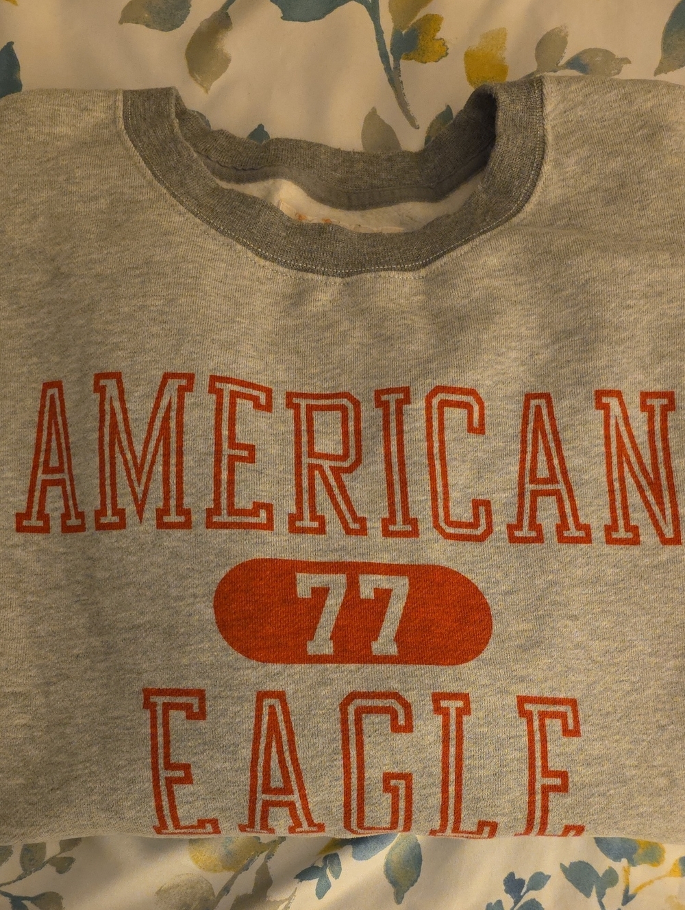 American Eagle Outfitters Gray Sweatshirt with Red Graphic